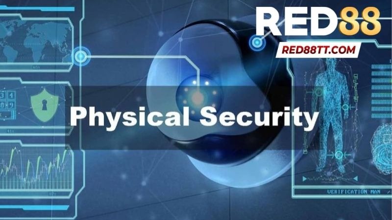 Điều Khoản Điều Kiện Tại Red88