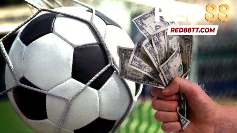 Sảnh Thể Thao K-Sports