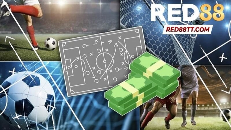 Sảnh Thể Thao K-Sports