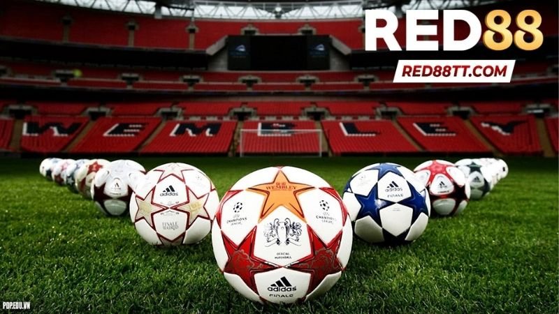 Sảnh Thể Thao K-Sports