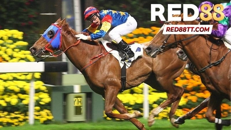 Sảnh Thể Thao P-Sports